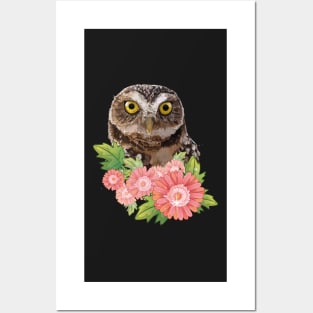 Owl Posters and Art